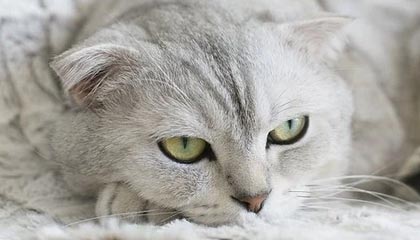 九游体育官网-球队内部风波：某俱乐部管理层引发众怒，球队管理方案