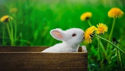 九游体育官网-球队内部风波：某俱乐部管理层引发众怒，球队管理方案